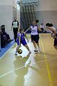 Basket 252057